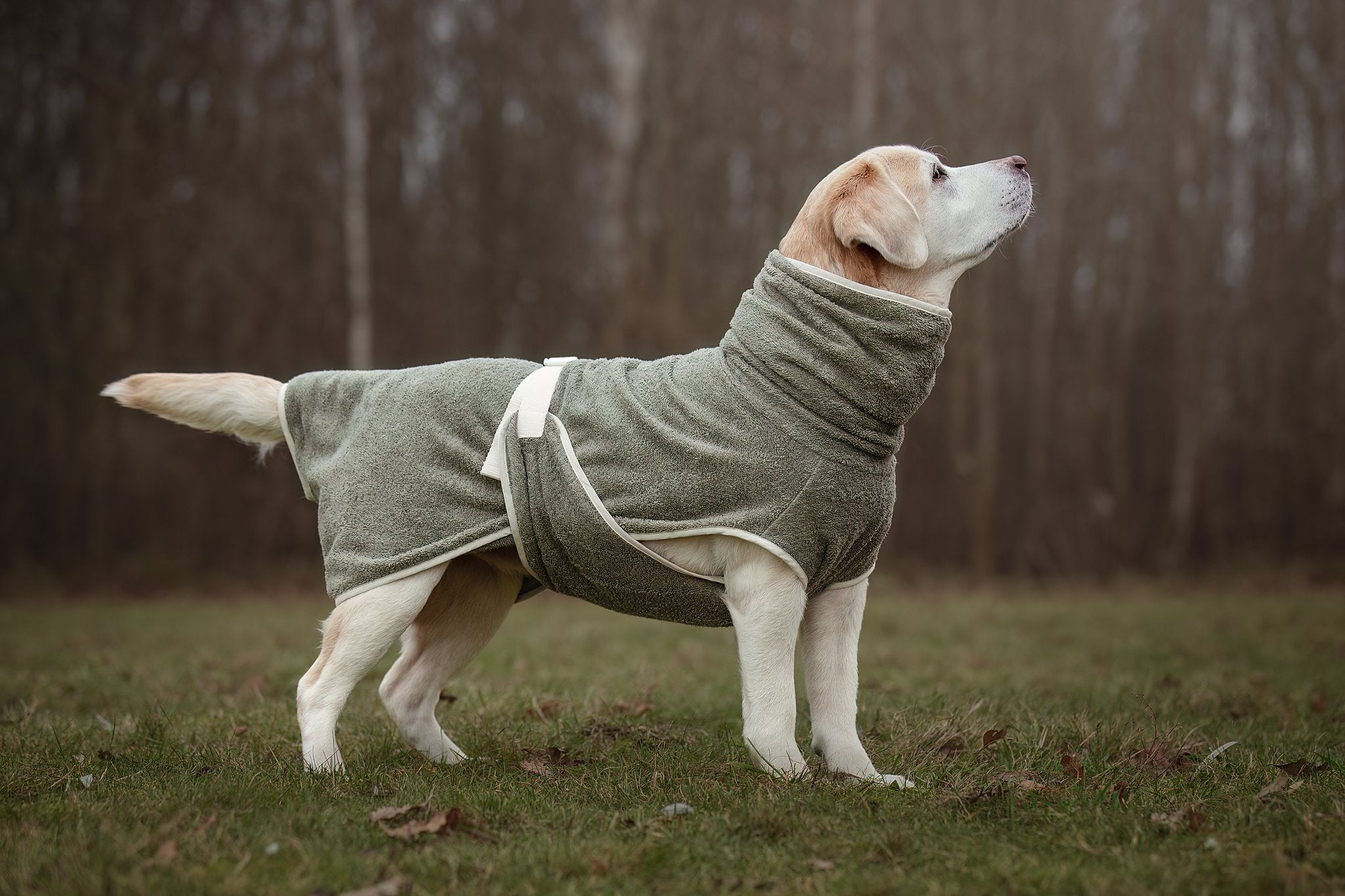 Dog Wellness Hondenbadjas - Olive