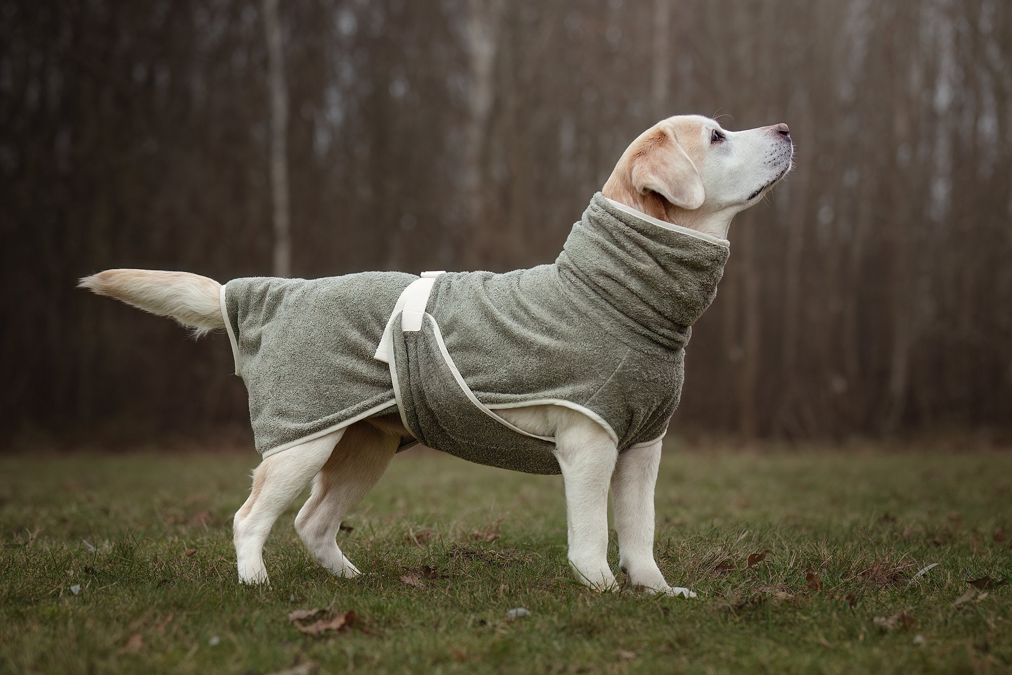 Dog Wellness Hondenbadjas - Olive