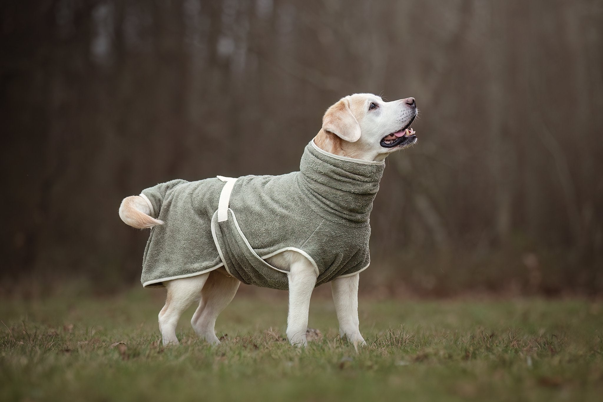 Dog Wellness Hondenbadjas - Olive