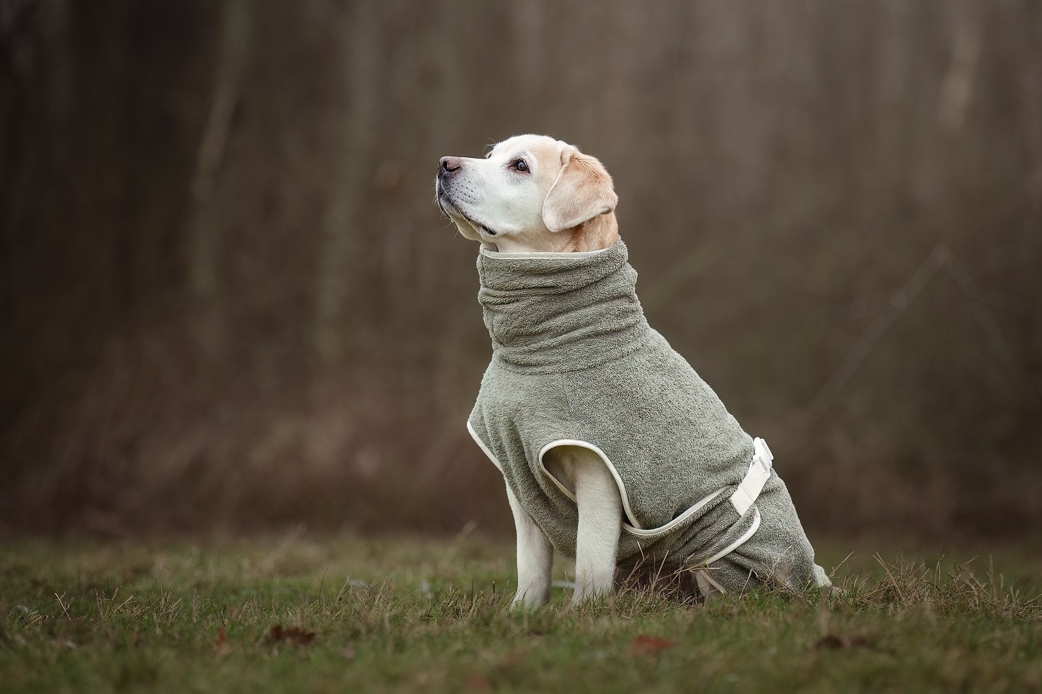 Dog Wellness Hondenbadjas - Olive