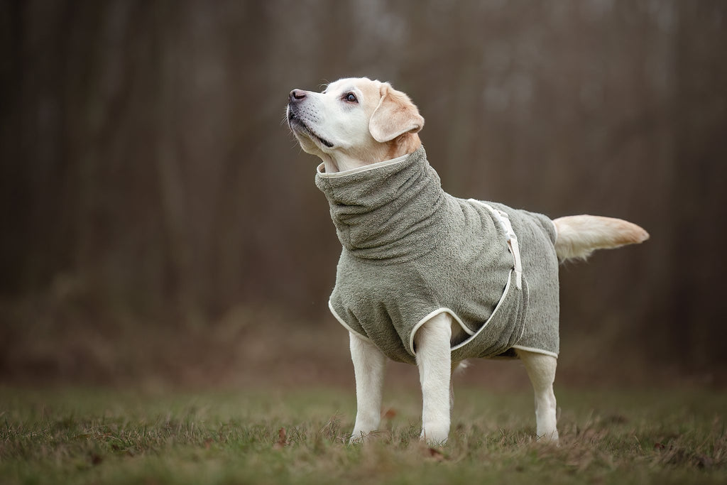 Dog Wellness Hondenbadjas - Olive