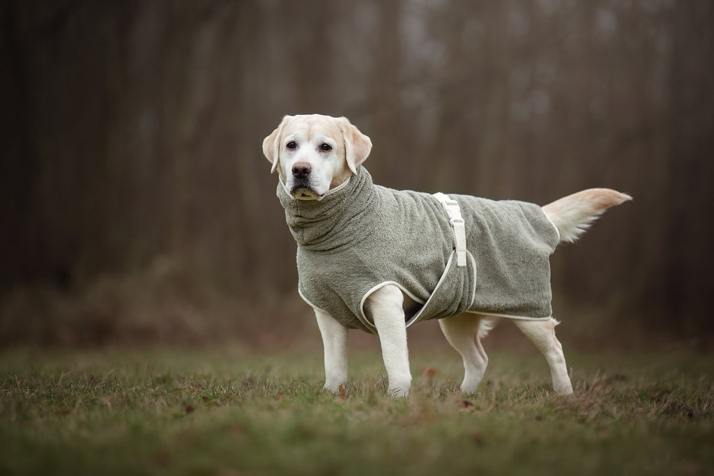 Dog Wellness Hondenbadjas - Olive