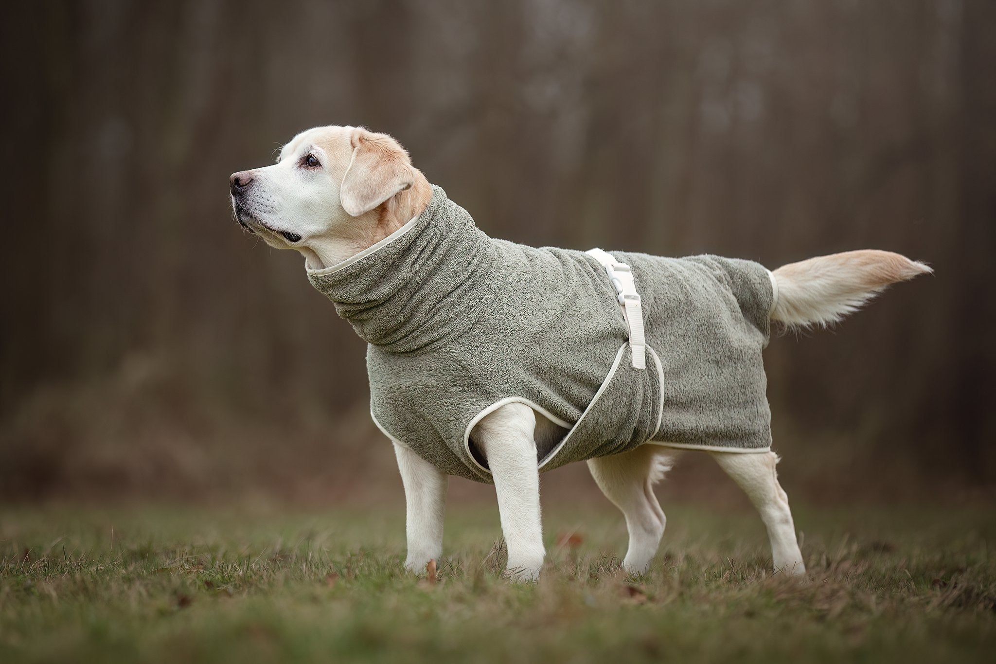 Dog Wellness Hondenbadjas - Olive