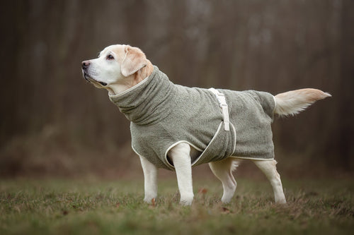 Dog Wellness Hondenbadjas - Olive