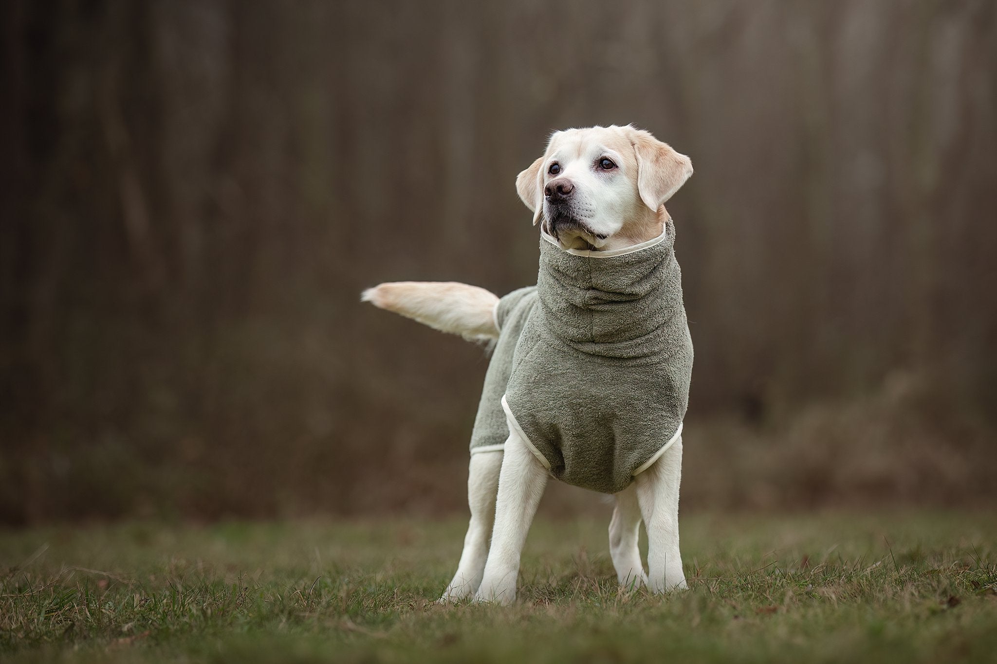 Dog Wellness Hondenbadjas - Olive