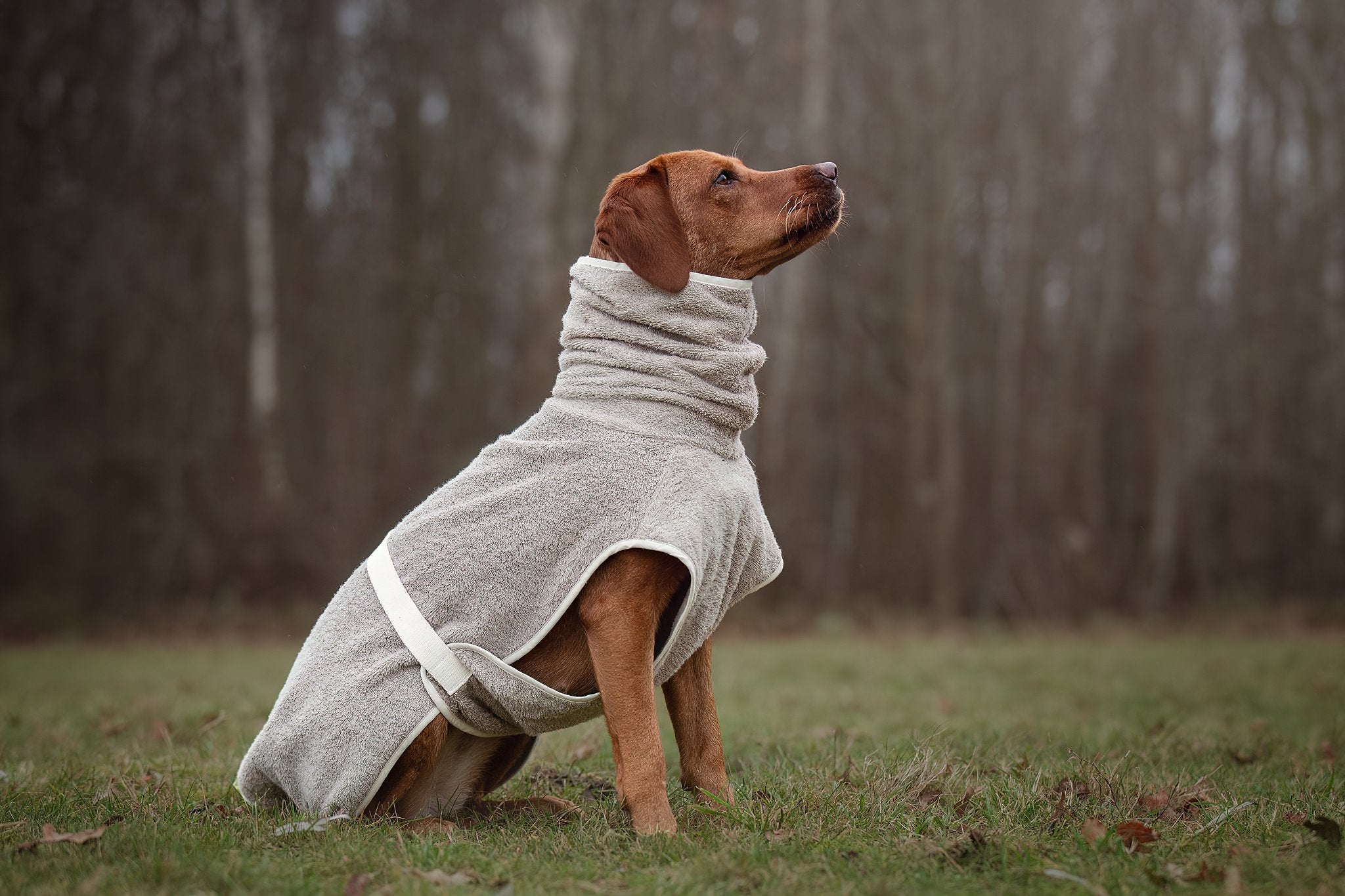 Dog Wellness Hondenbadjas - Clay