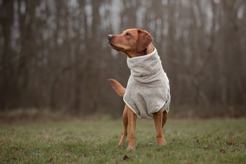 Dog Wellness Hondenbadjas - Clay