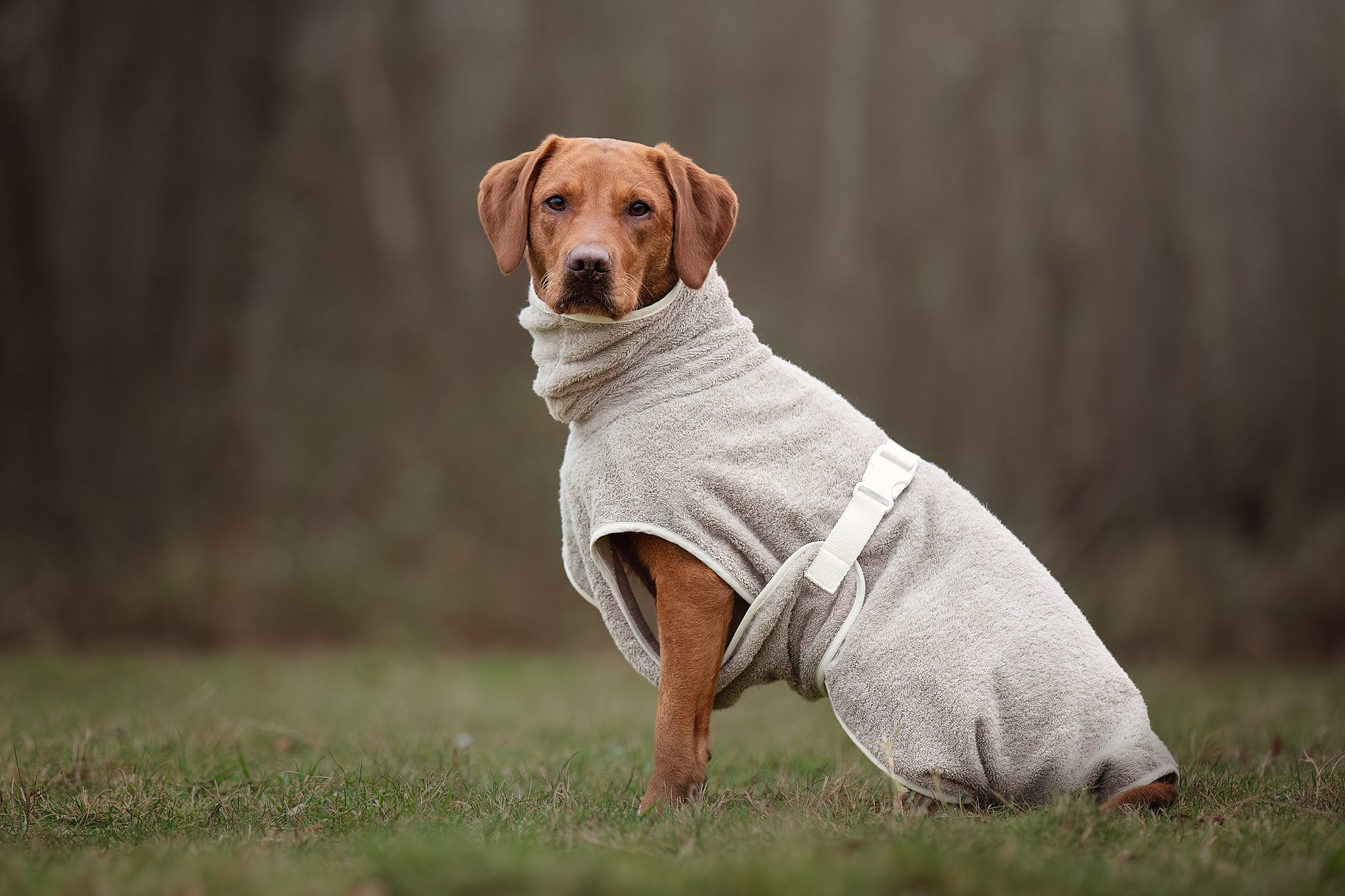 Dog Wellness Hondenbadjas - Clay