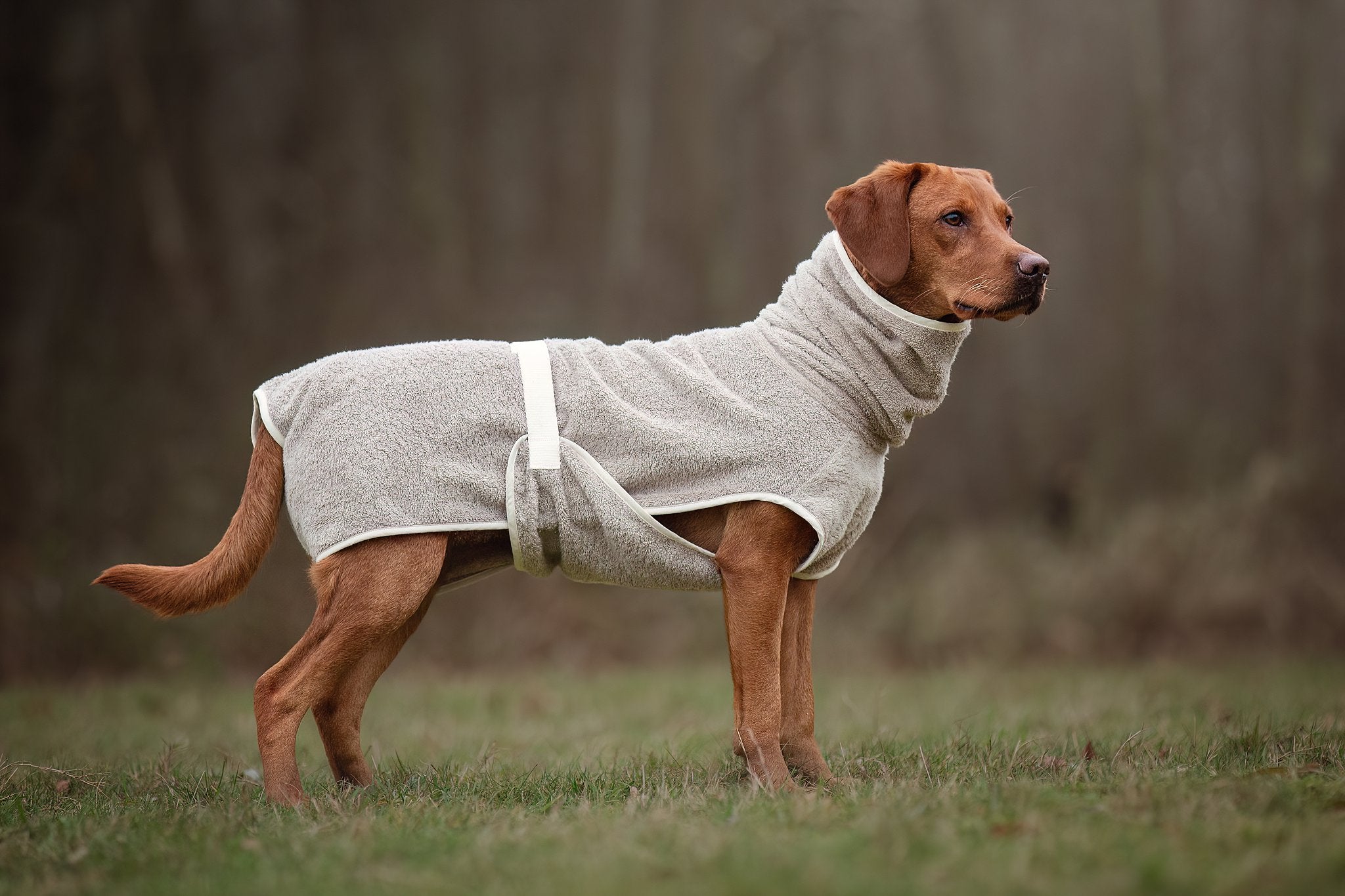 Dog Wellness Hondenbadjas - Clay