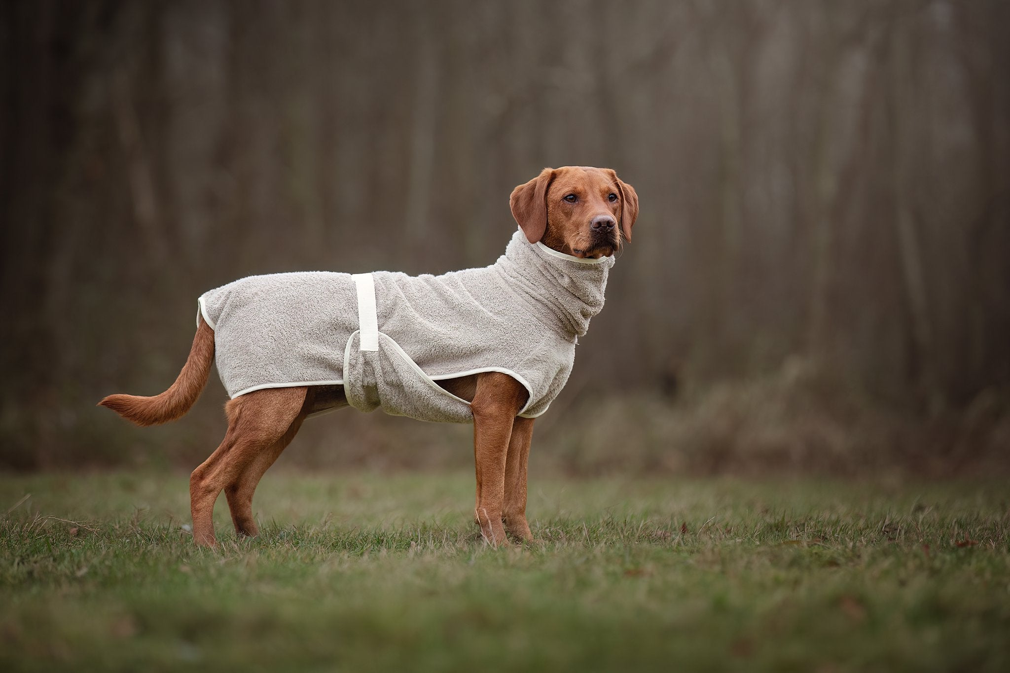 Dog Wellness Hondenbadjas - Clay