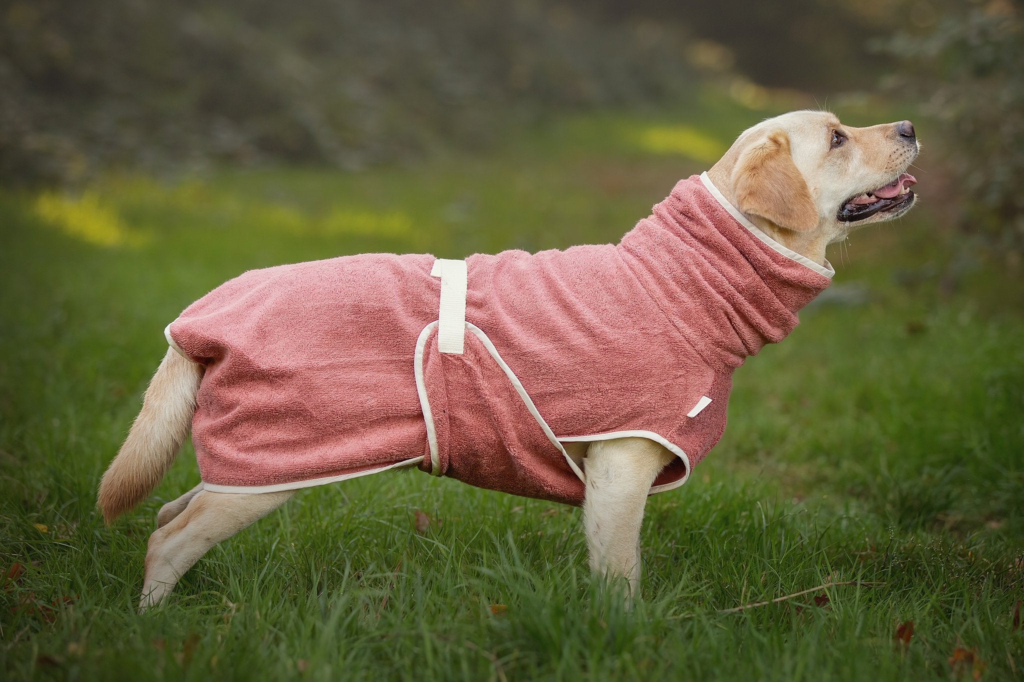 Dog Wellness Hondenbadjas - Blossom