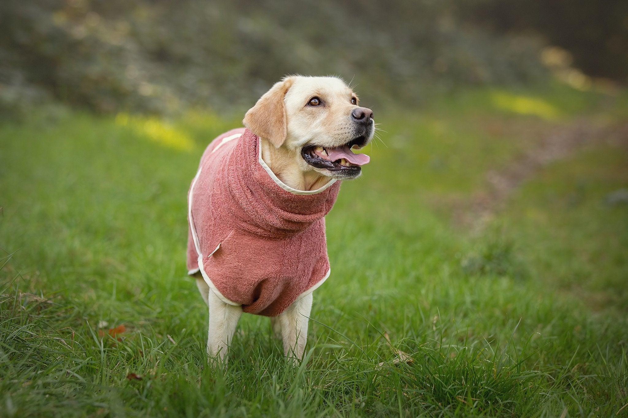 Dog Wellness Hondenbadjas - Blossom