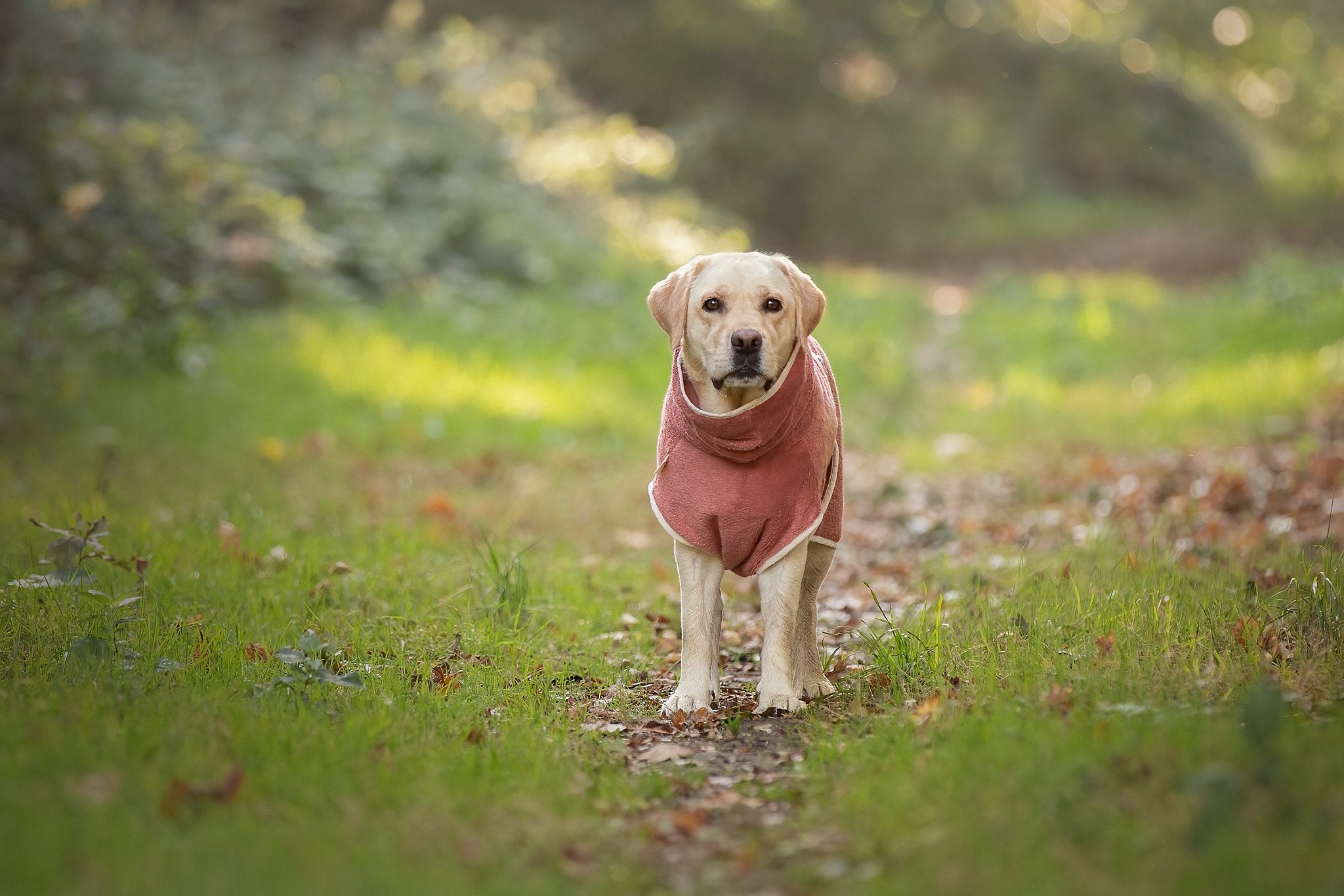 Dog Wellness Hondenbadjas - Blossom