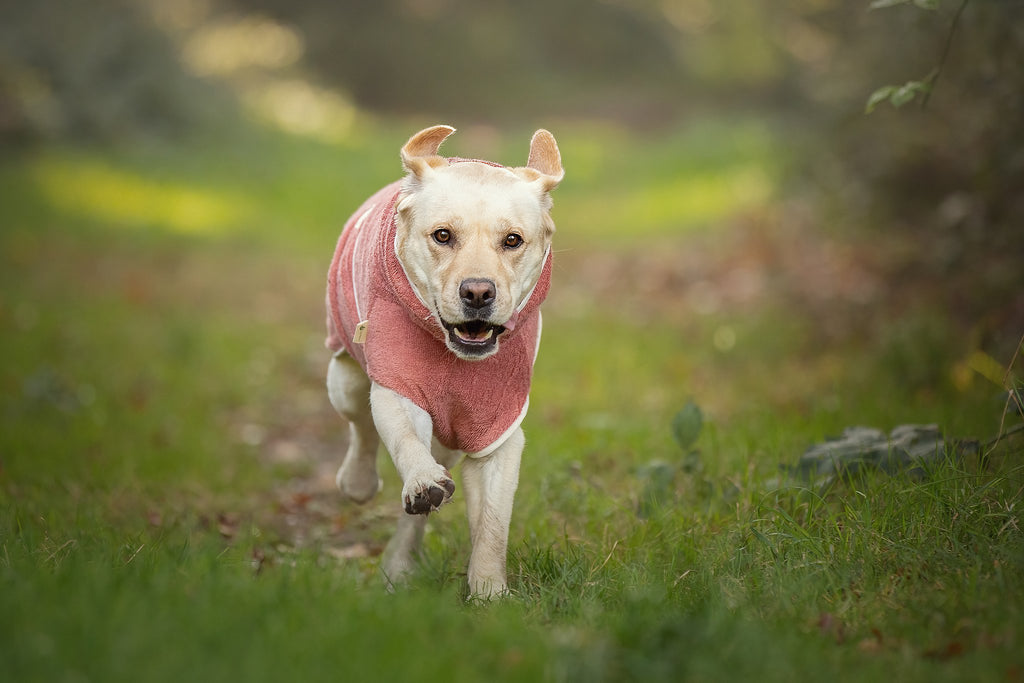 Dog Wellness Hondenbadjas - Blossom