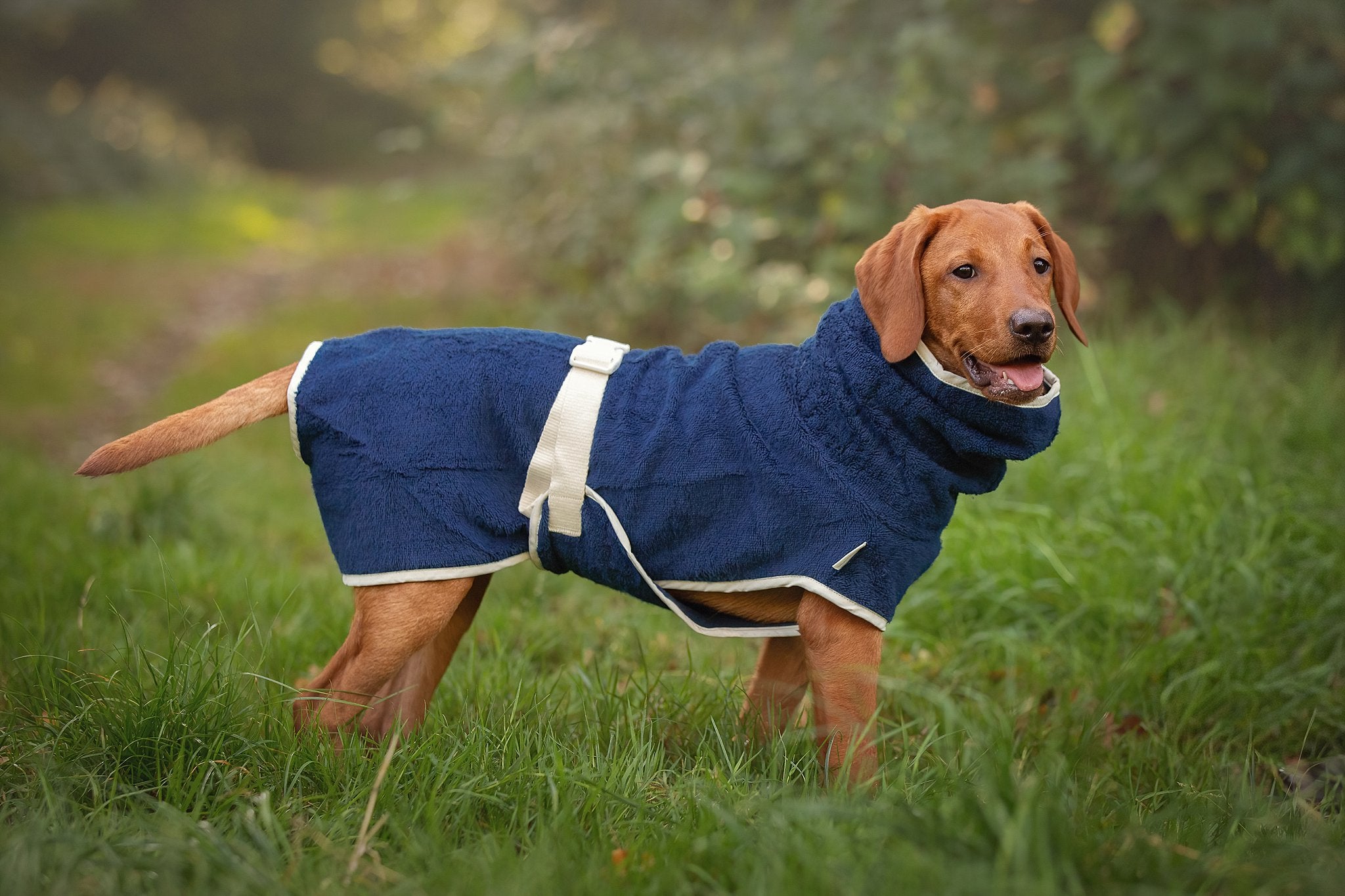 Dog Wellness Hondenbadjas - Indigo