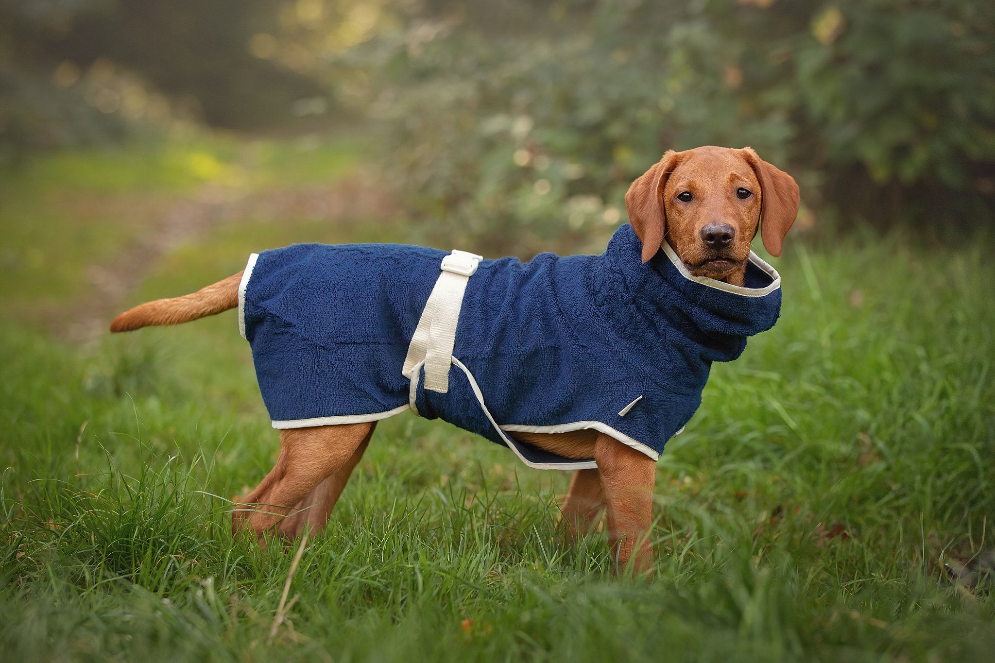 Dog Wellness Hondenbadjas - Indigo