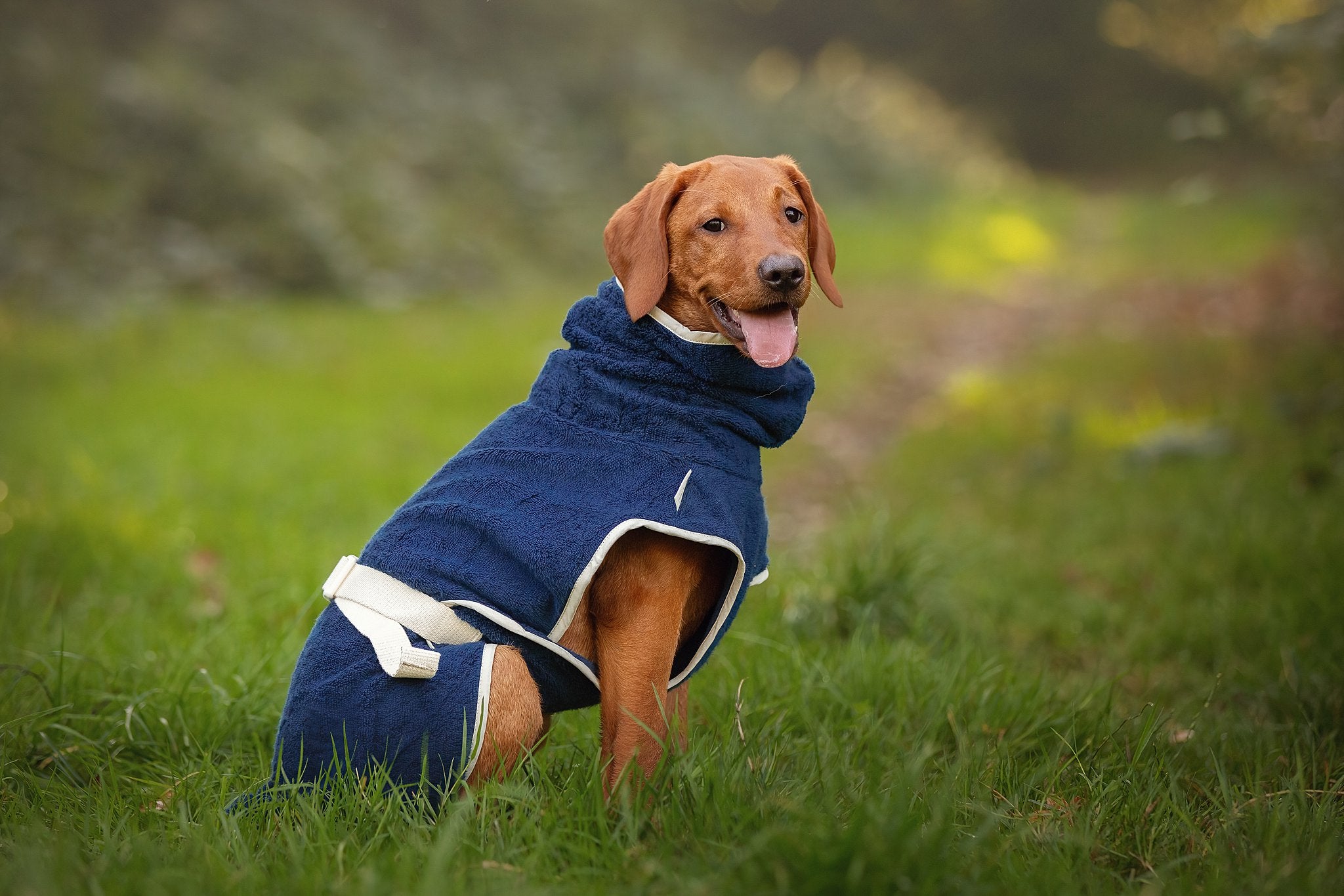 Dog Wellness Hondenbadjas - Indigo