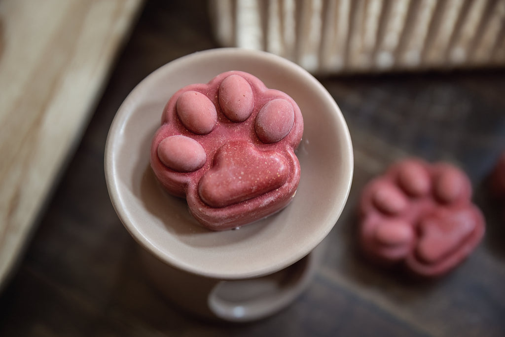 Wax melt Mandarijn en Vanille – Aromatherapie voor honden