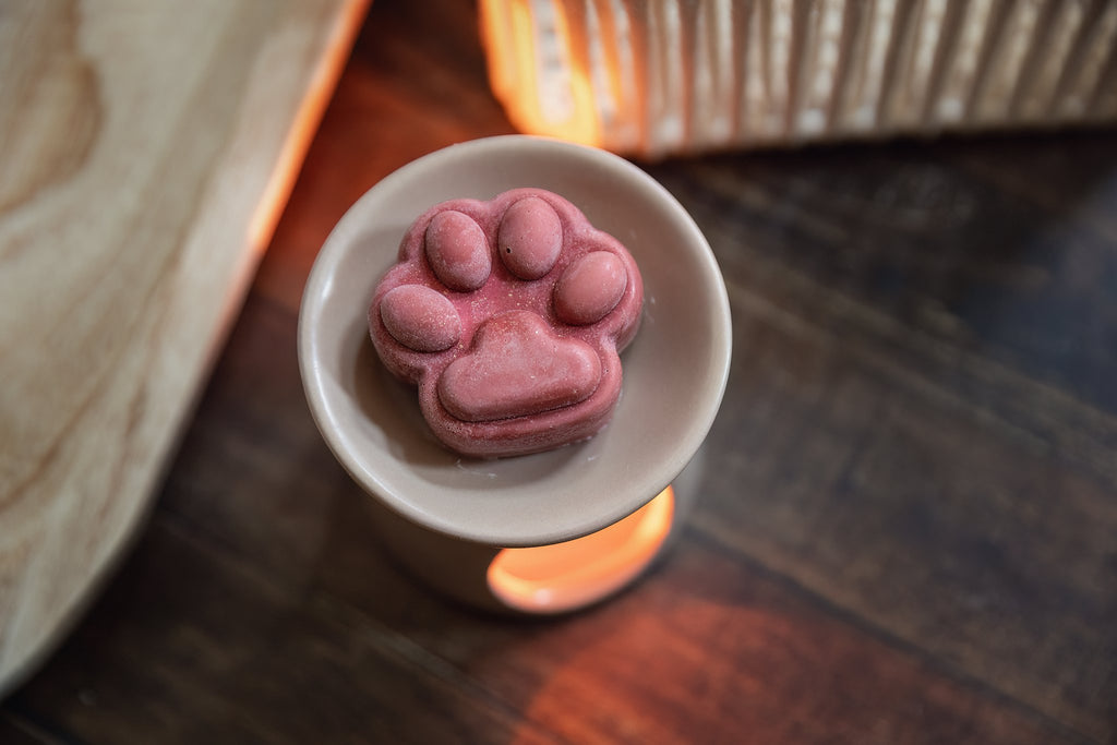 Wax melt Mandarijn en Vanille – Aromatherapie voor honden