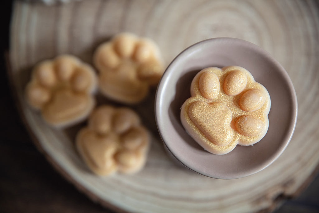 Wax melt Lavendel - Aromatherapie voor honden (1 stuk)